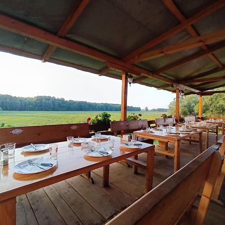 Zmaj Ognjeni Etno Concept Lägenhet Kupinovo Exteriör bild
