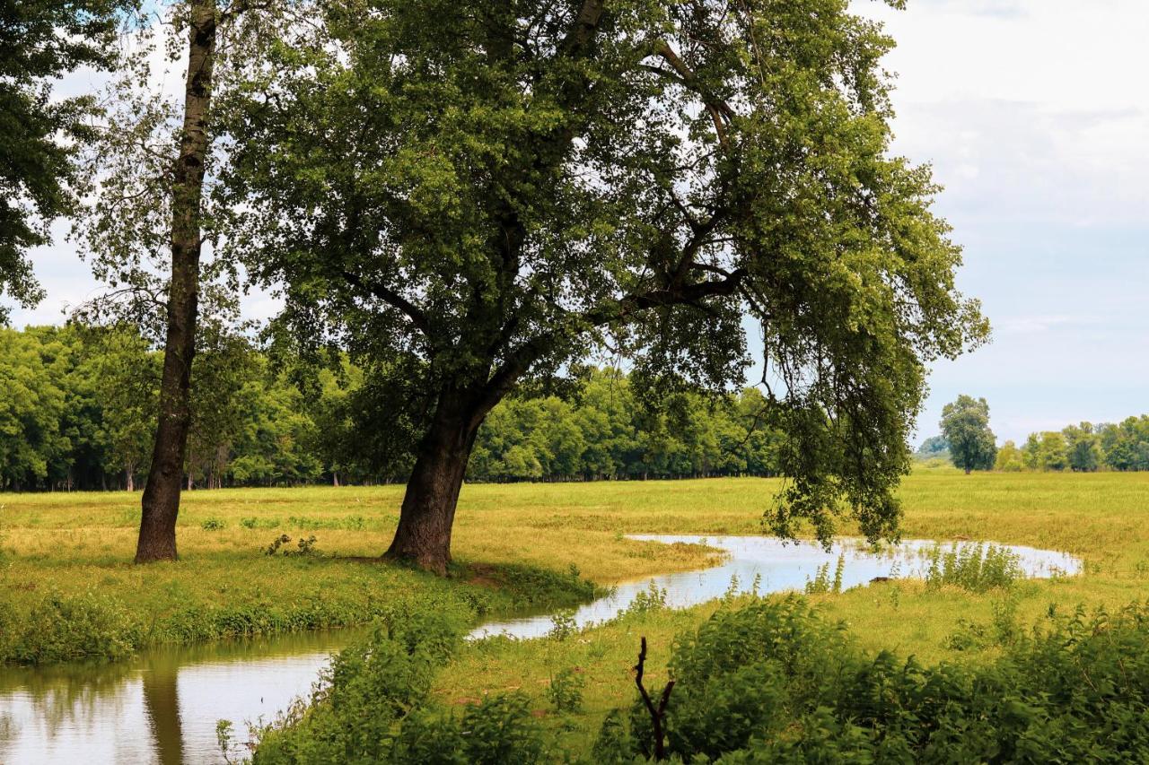 Zmaj Ognjeni Etno Concept Lägenhet Kupinovo Exteriör bild