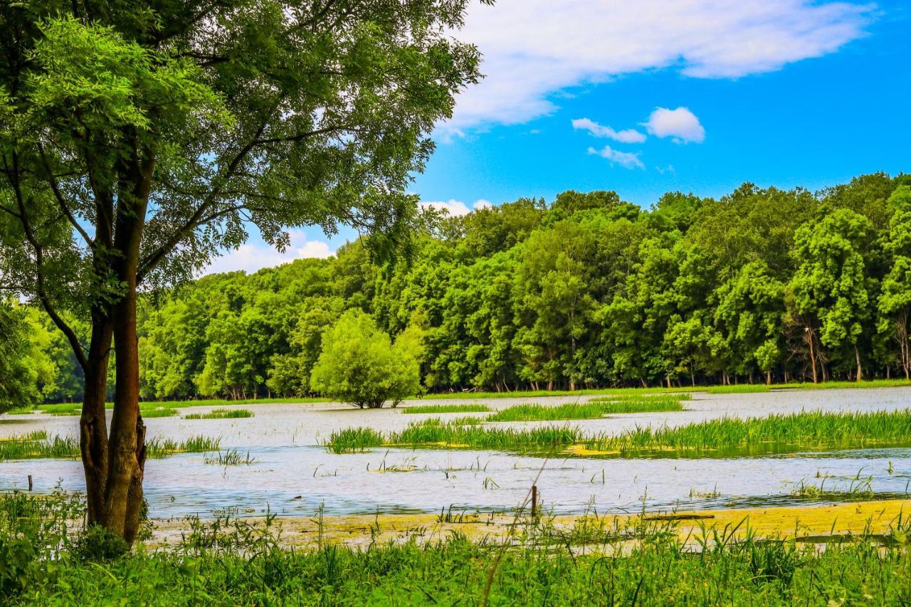 Zmaj Ognjeni Etno Concept Lägenhet Kupinovo Exteriör bild