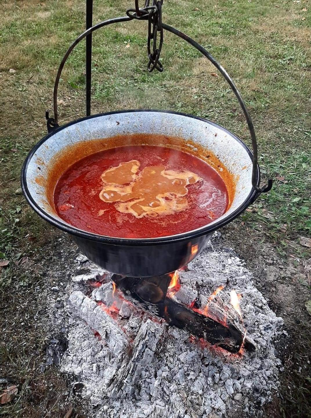 Zmaj Ognjeni Etno Concept Lägenhet Kupinovo Exteriör bild