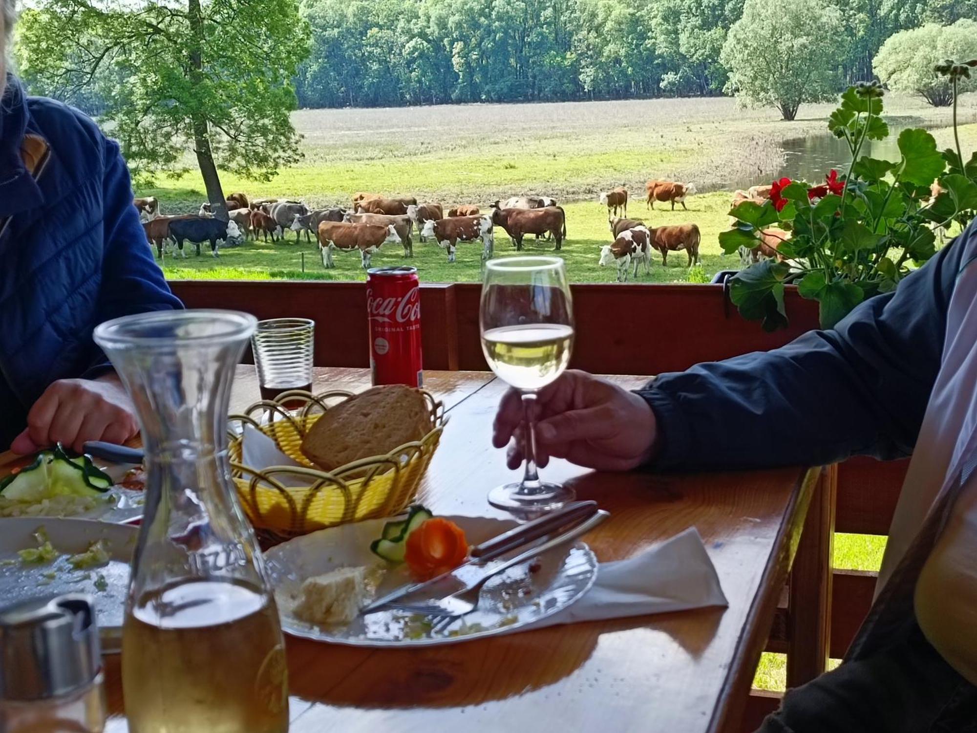 Zmaj Ognjeni Etno Concept Lägenhet Kupinovo Exteriör bild